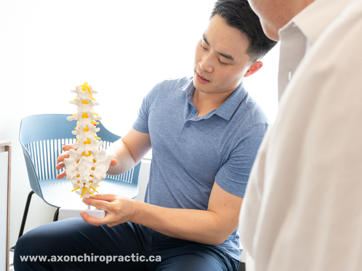 Chiro North York Dr. Perrin Yiu explaining chiropractic with spine model