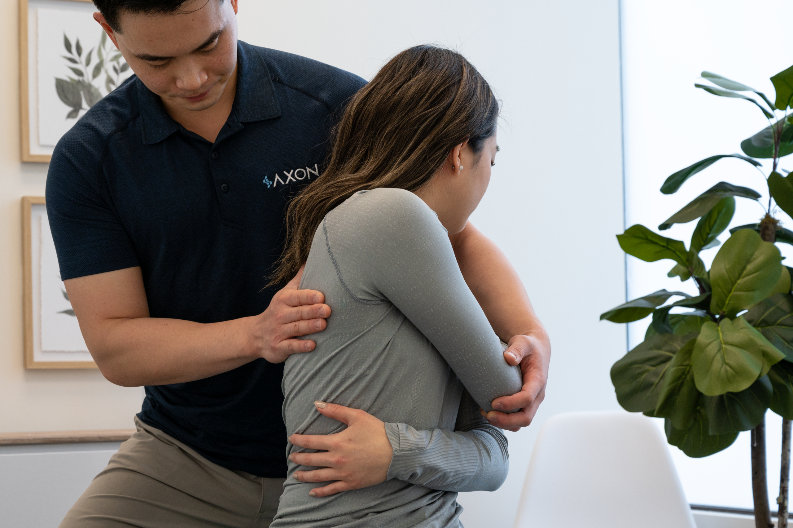 chiropractor north york